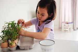 Young montessori student doing life cycle of plants science experiment