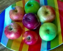 Apples for Fall Montessori Inspired Activities